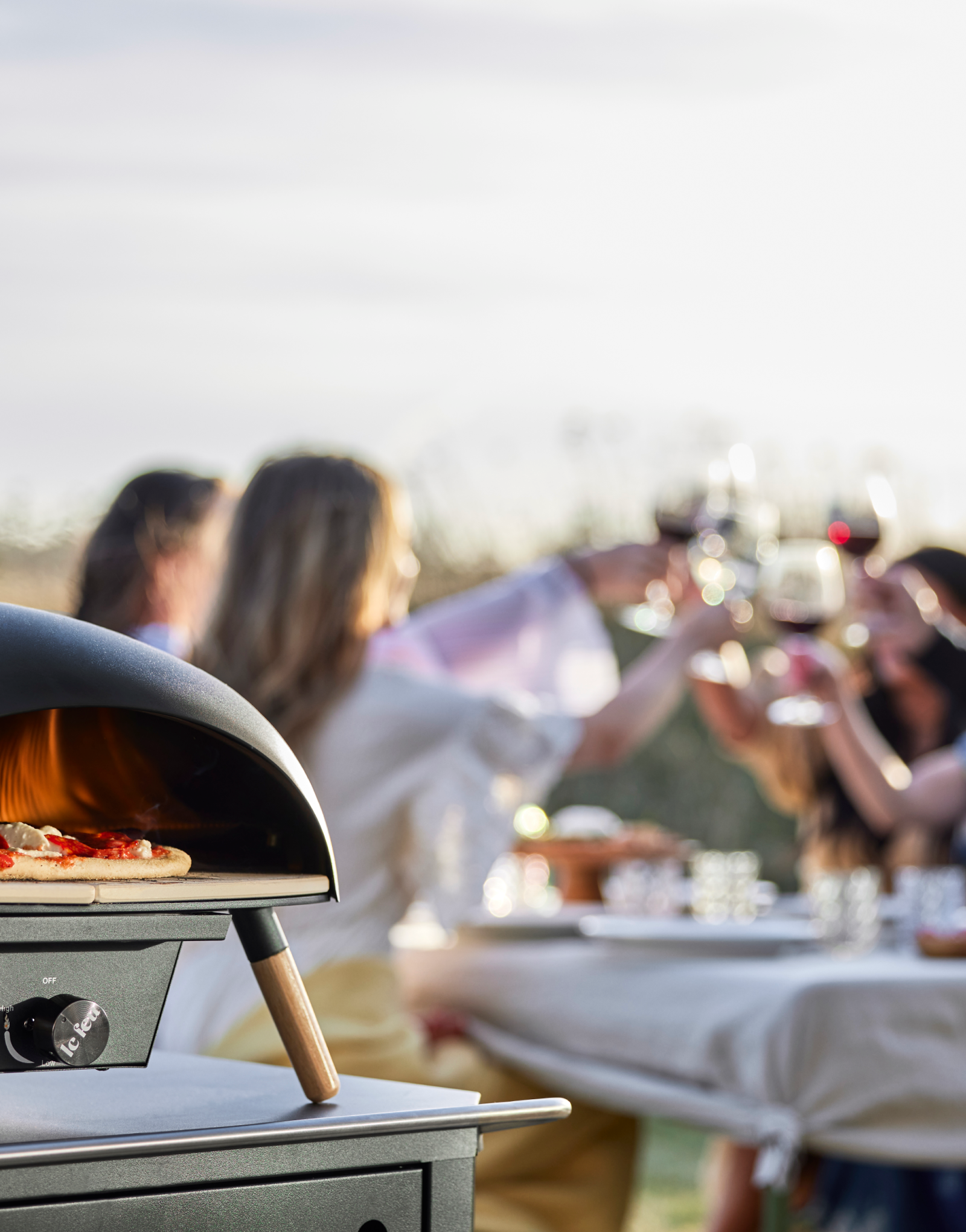 Turtle Motion - Gas Powered Pizza Oven